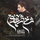 Benim çınar fidanım