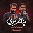 Hossein Taheri, Alireza Taheri