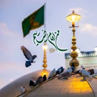 Ben İmam Rıza’ya aitim