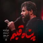 Kalbimin sığınağı