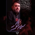 Mohammad Hossein Puyanfar